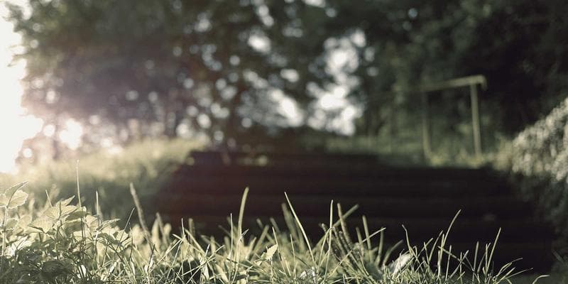 Welcome to Pleasur.ai